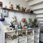 Shiv Homestay