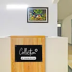 Collection O Jankipuram Sahara State Formerly Basera Homes