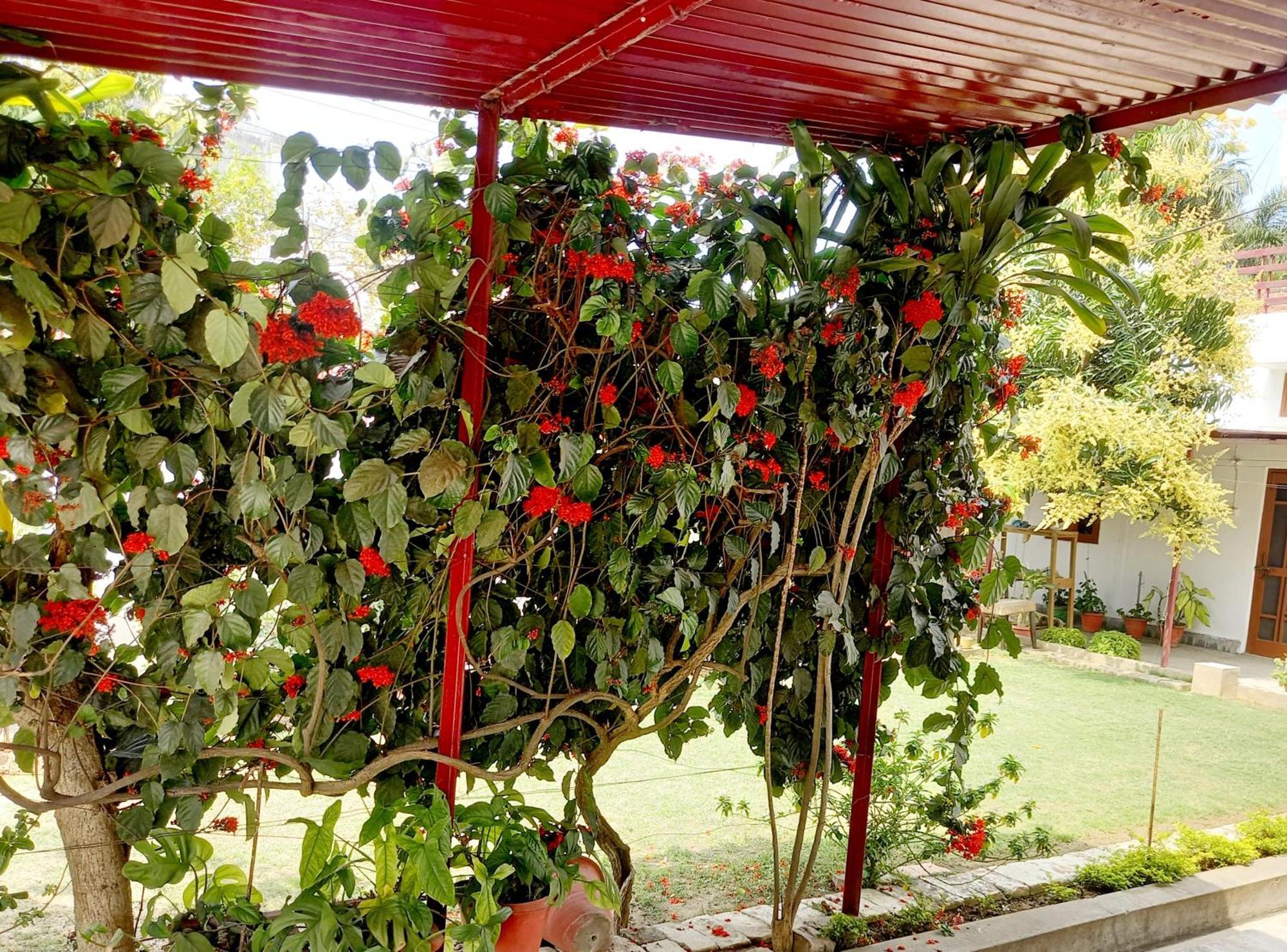 Garden View Residency Acomodação com café da manhã 