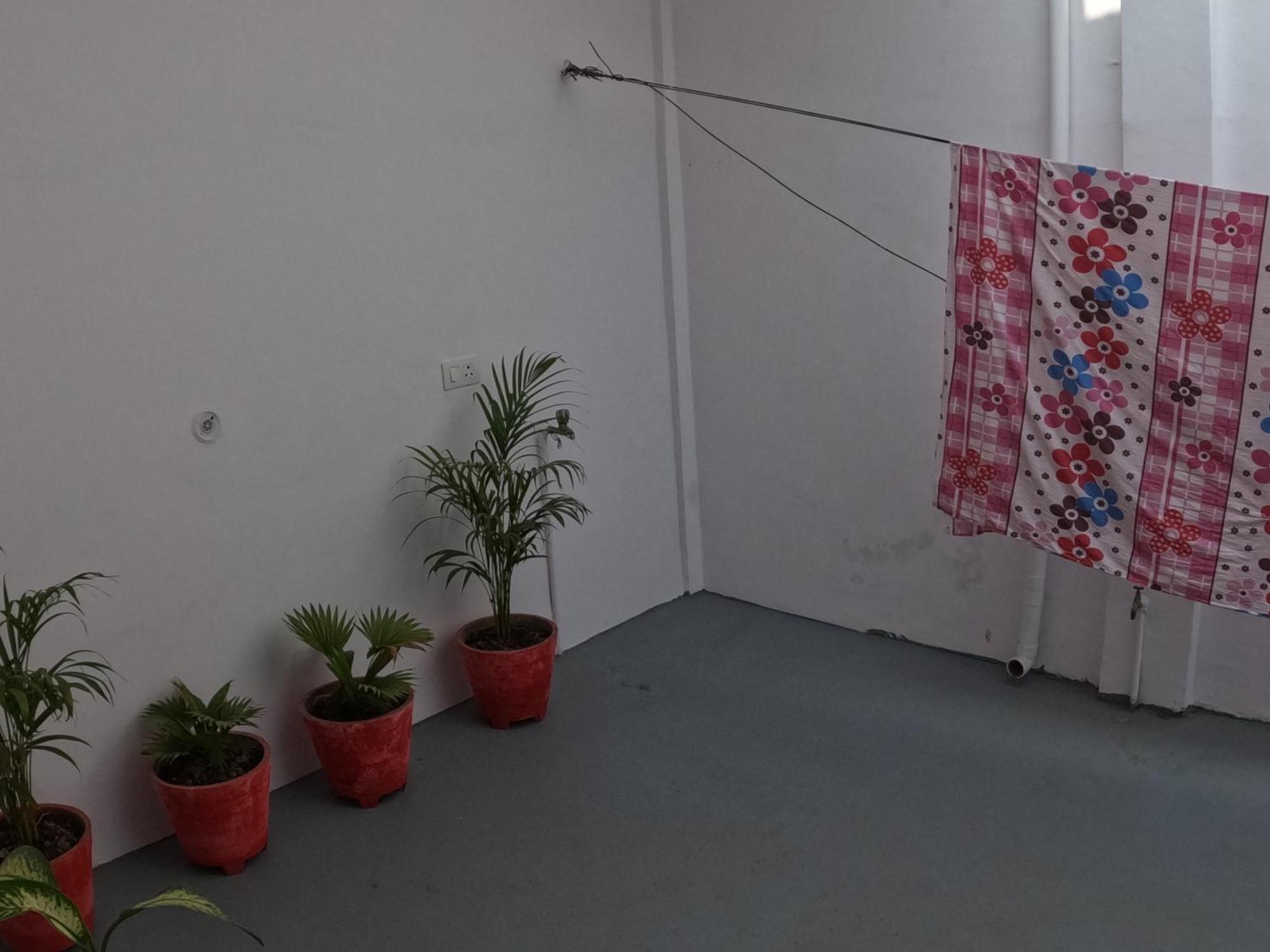 The Nomad Cave Hostel Lucknow